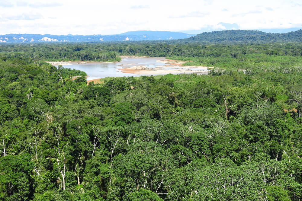 water basin in the middle of the lush forest of Madidi National Park