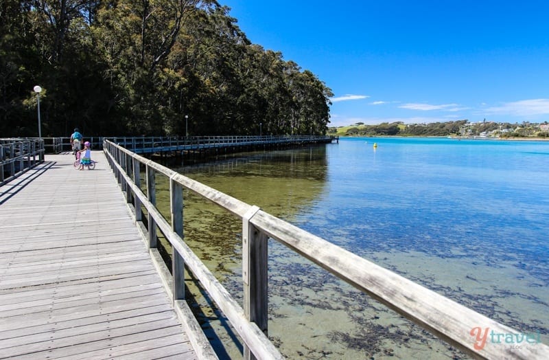 people riding on the Boardwalk at Narooma, Australia