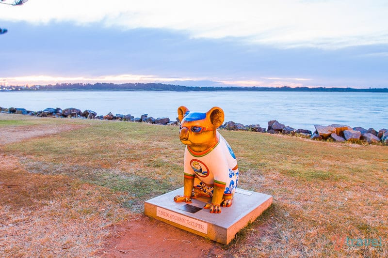 Koala sculpture on grass beside water