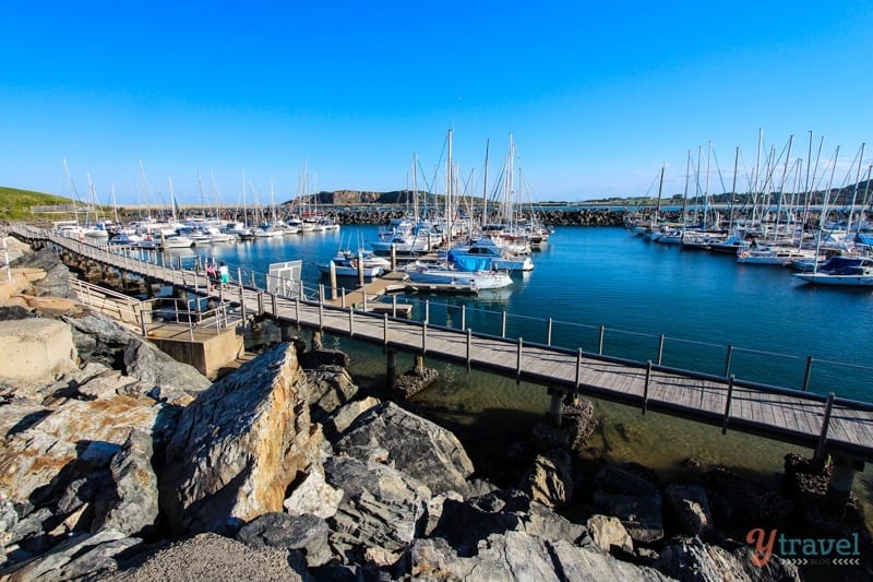 boats in Coffs Harbour marina