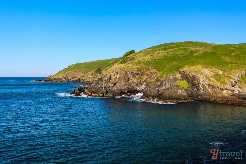 green Muttonbird Island 