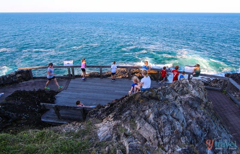 peopel sitting at end of walk on Muttonbird Island with ocean views