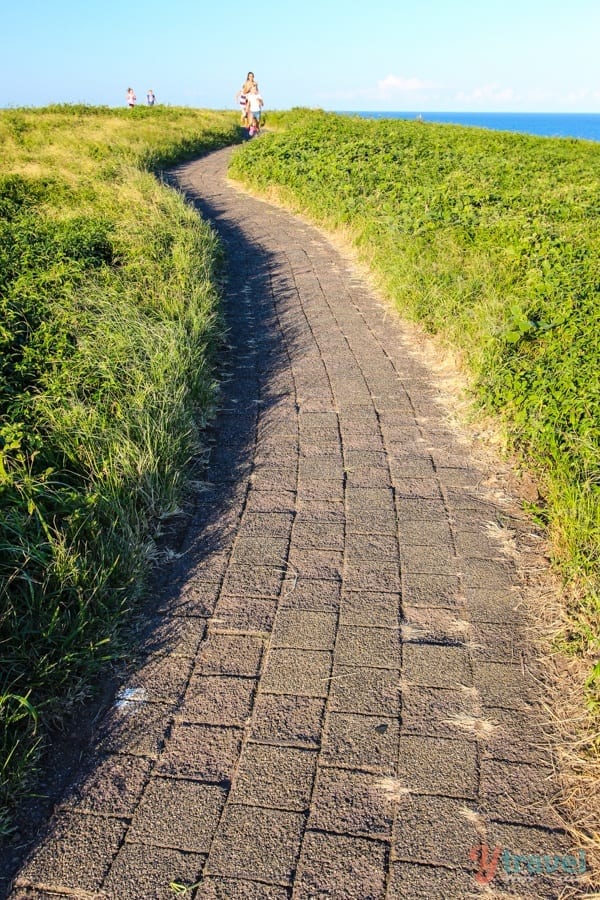 people walking on path on top of Muttonbird Island