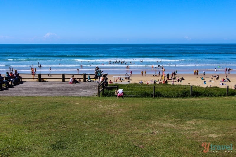 people on the Sawtell Beach, NSW, Australia