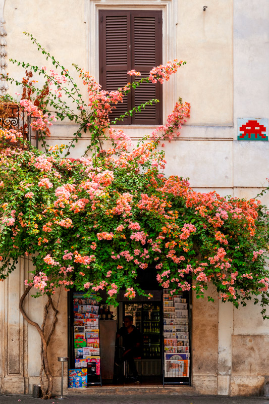 Storefront in Piazza della Madonna dei Monti, Rome Italy