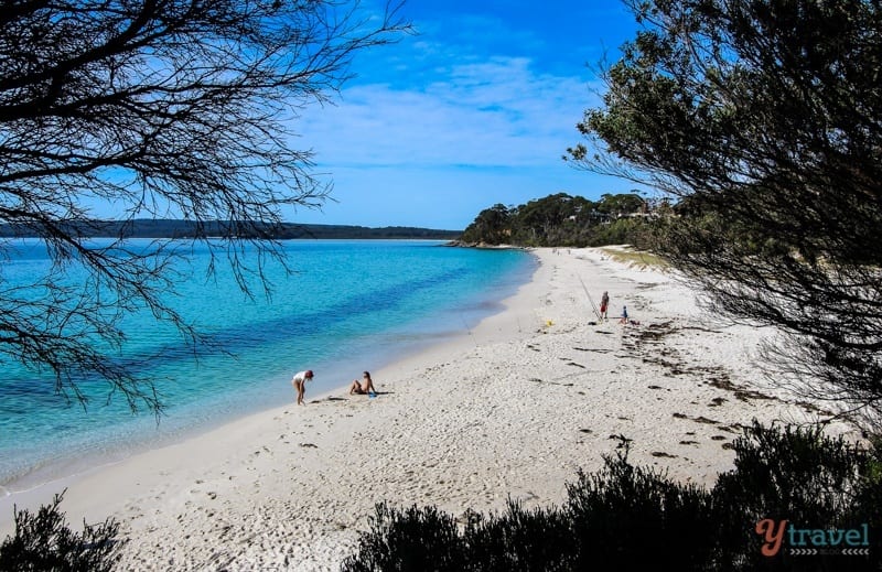 Chinamans Beach framed by trees