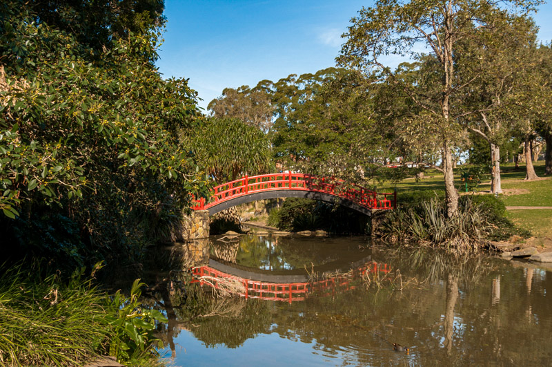 Red arch bridge over pond in wollongong botanic garden