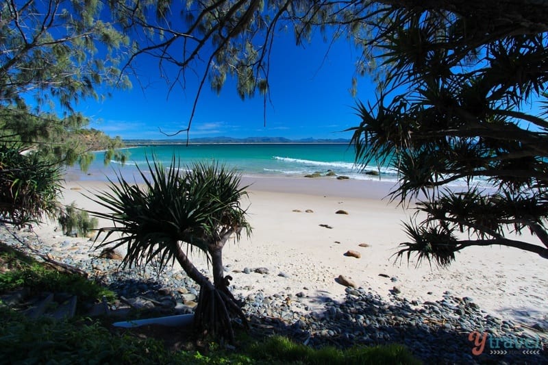 view through the trees of Wategos Beach, 