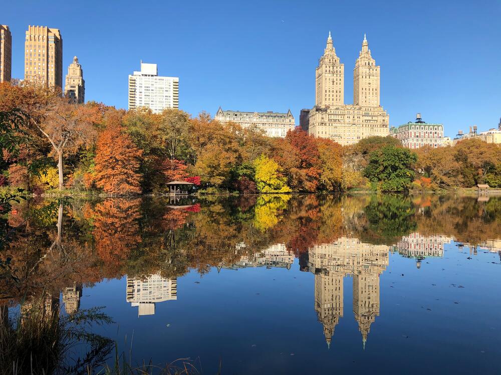 central park in fall