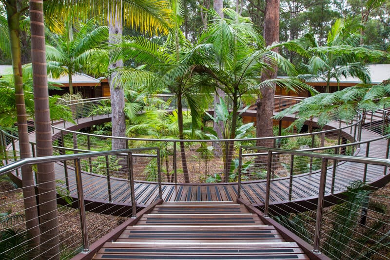 board walk in a forest