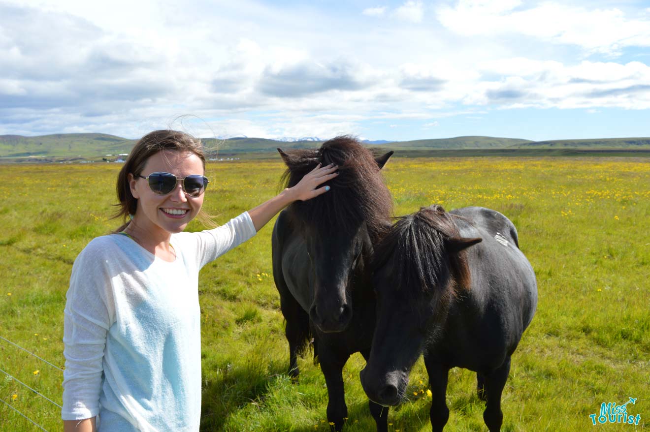 iceland girl horse petting