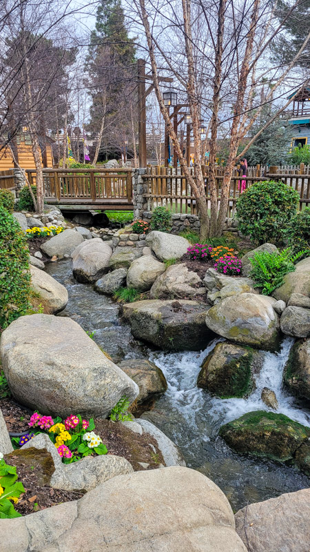 water running through garden