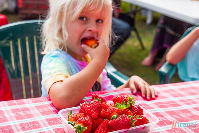 girl eating strawberries