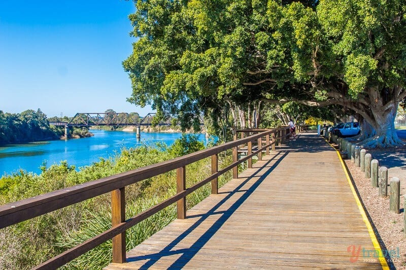 trees overhanging wooden boardwalk