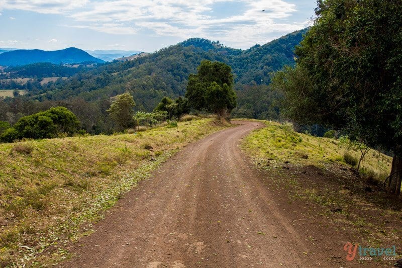 dirt road on top of mountain Port Macquarie Hinterland, NSW, Australia