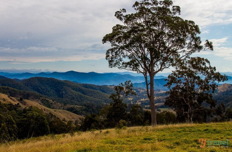 Port Macquarie Hinterland, views