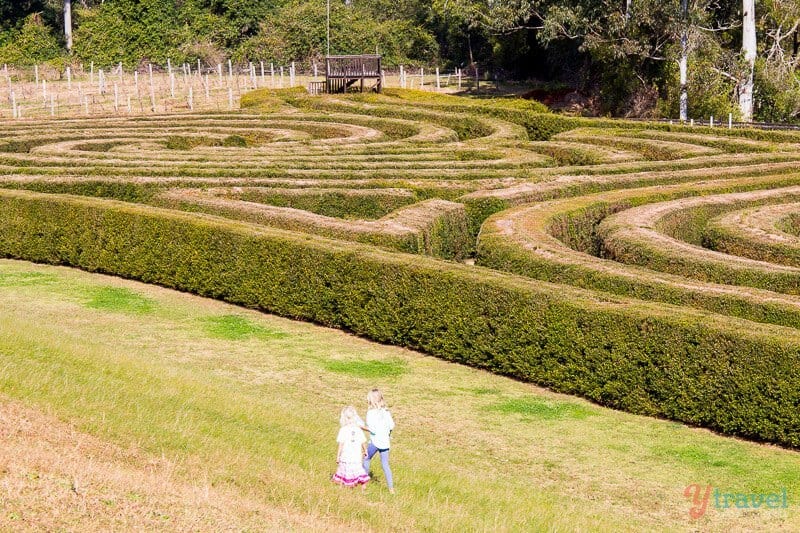 Bago Maze, Port Macquarie, NSW, Australia