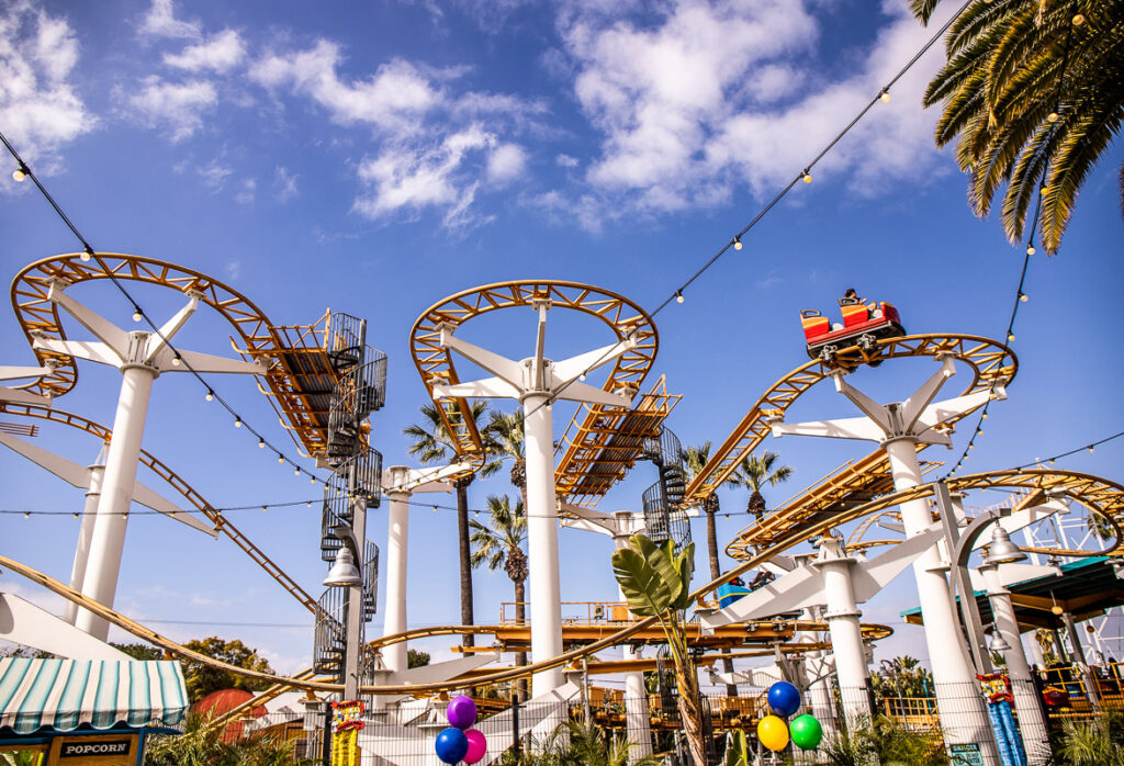 wild mouse track in the air