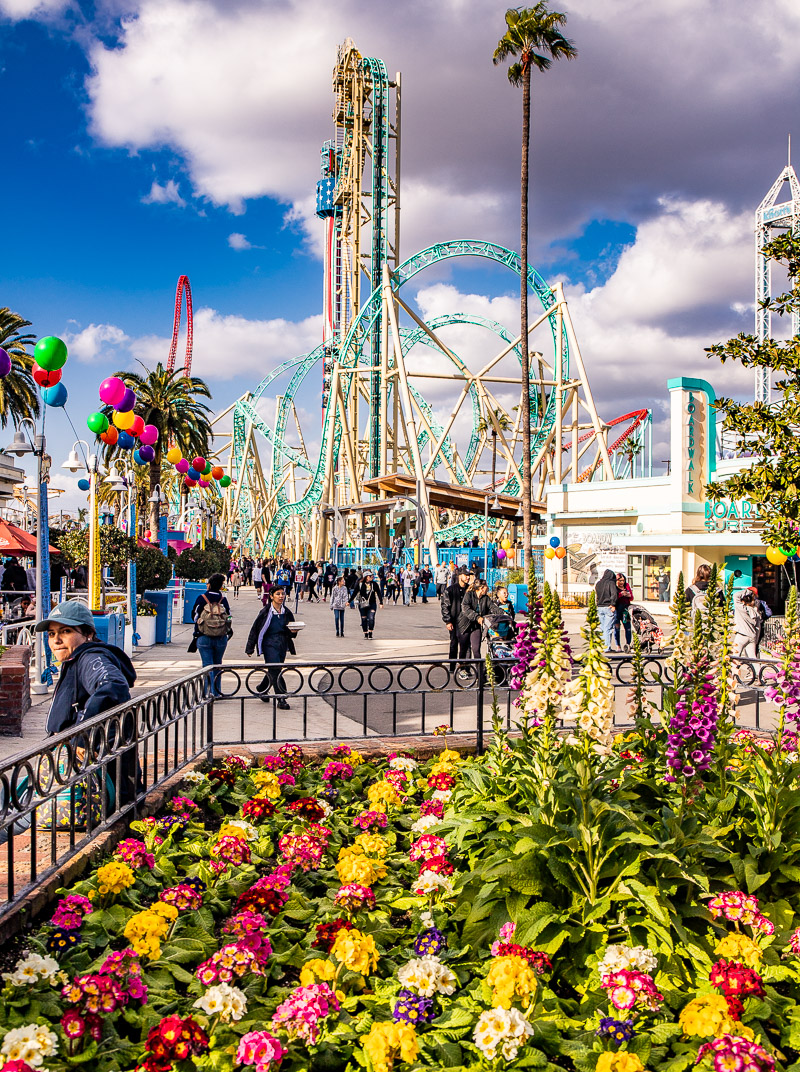 flowers inf ront of roller coasters at Knott's