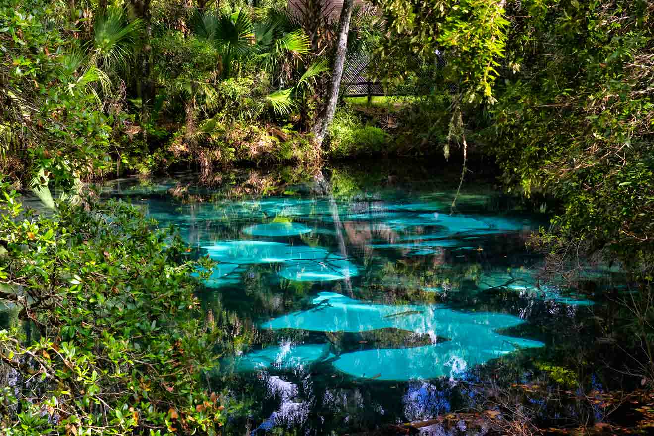 Beautiful spring with blu water