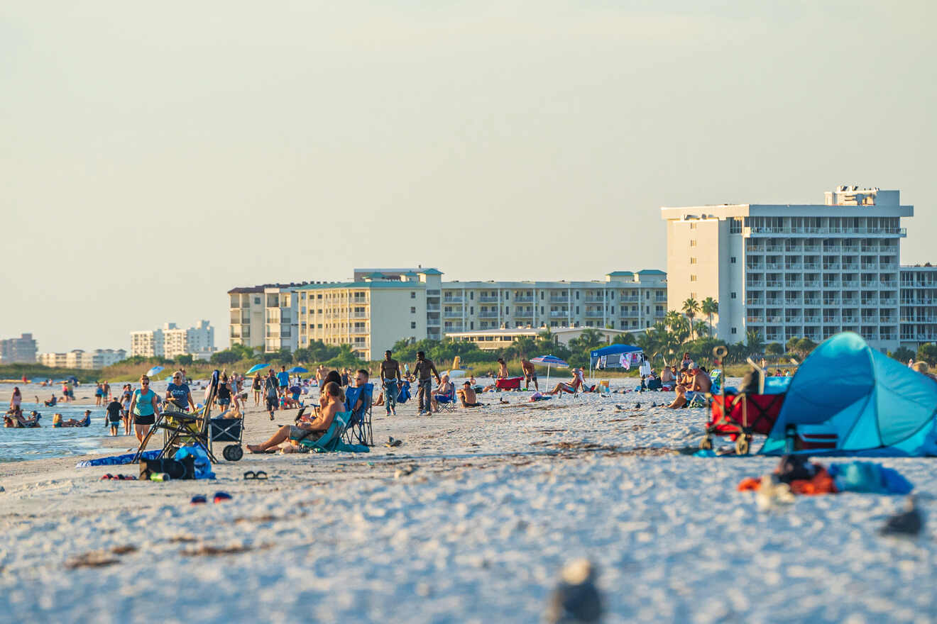 people on the beach at sunset