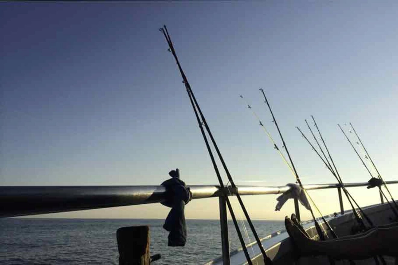 fishing rods in a boat