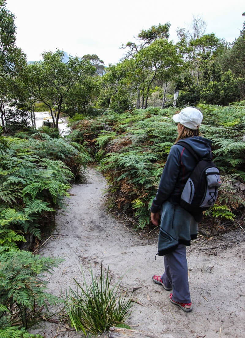 woman on sandy trail bordered by ferns 