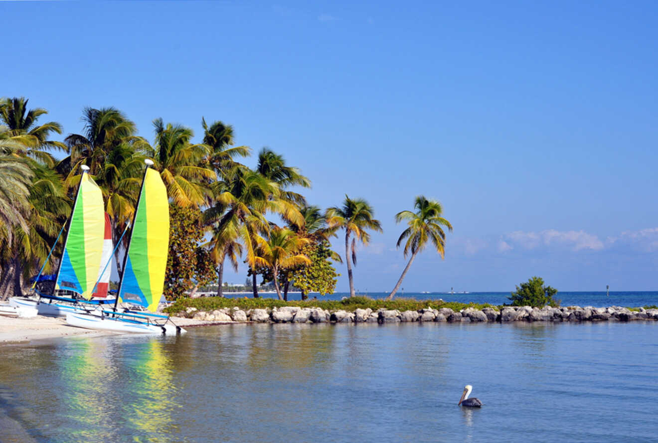 parasailing boats on the beach