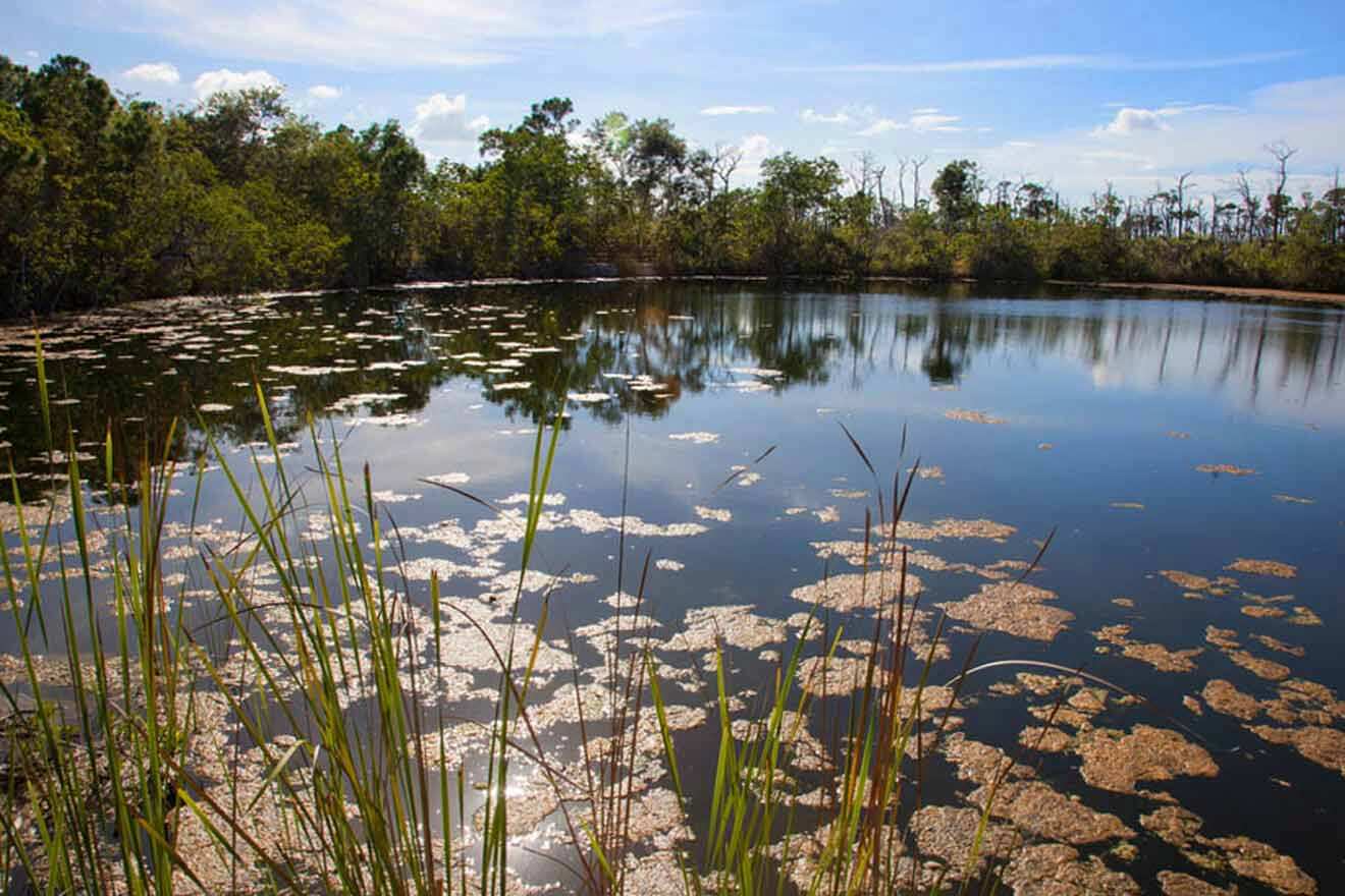 image from the Blue Hole 