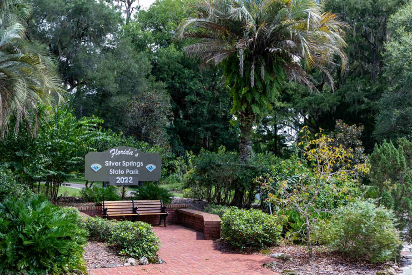 bench in Silver Springs park