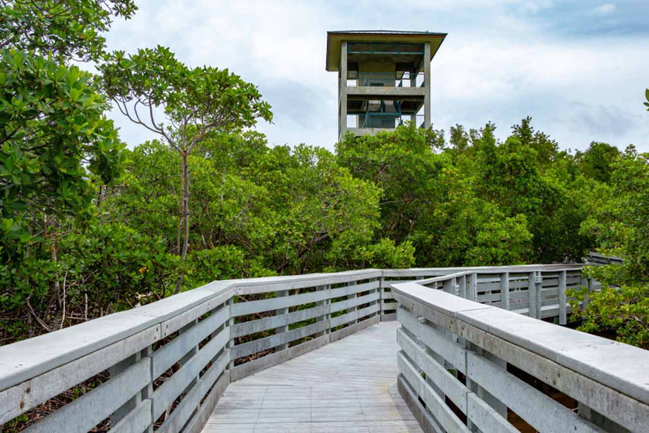 wooden footpath in Kolb Park