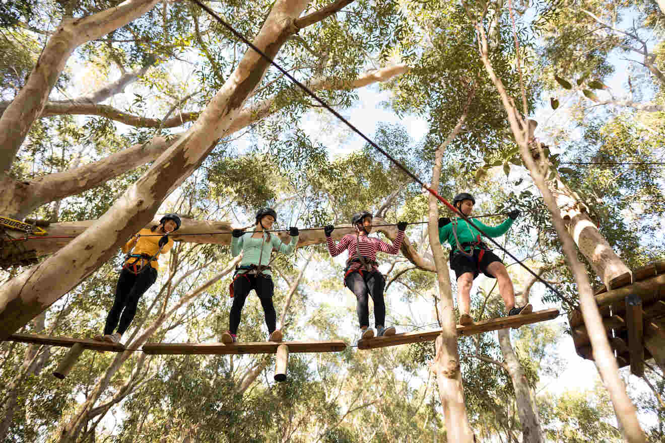 four people on a zipline