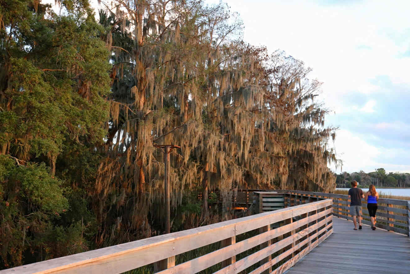 5 Palm Island Park Boardwalk