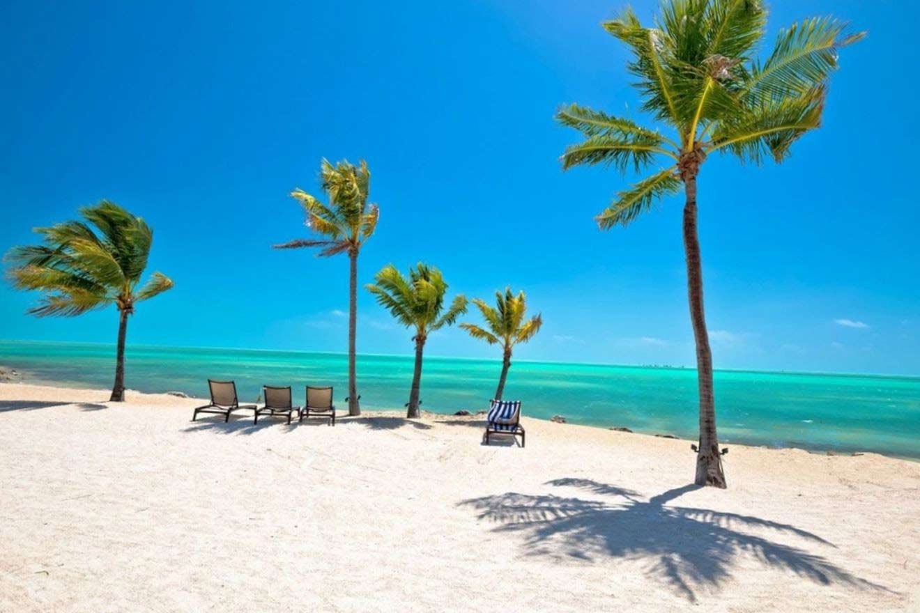 beach view with chairs