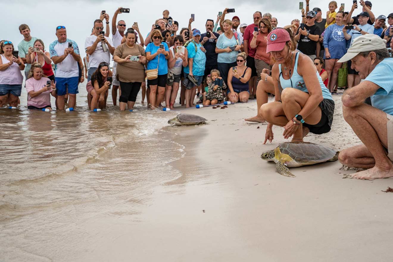 6 Turtle Hospital in Marathon fun things to do with kids