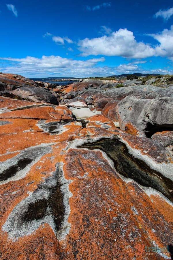 orange boulders on the beach