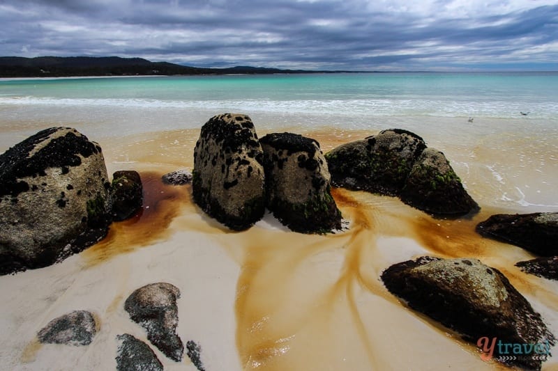 black moss covered rocks on beach