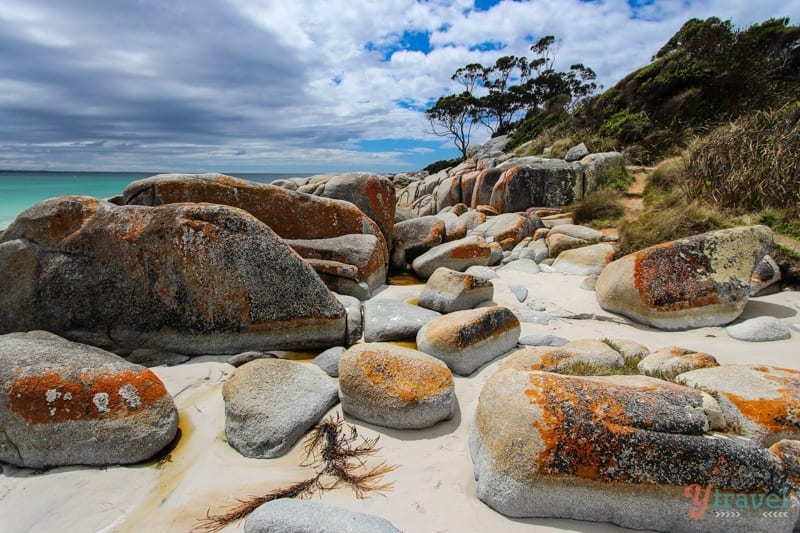 orange lichen rocks on white sand