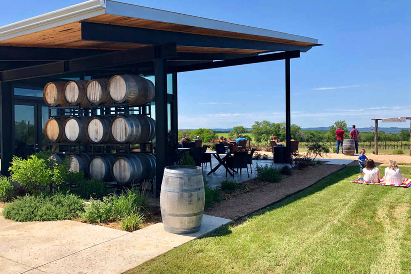 Best wine tours in Fredericksburg TX