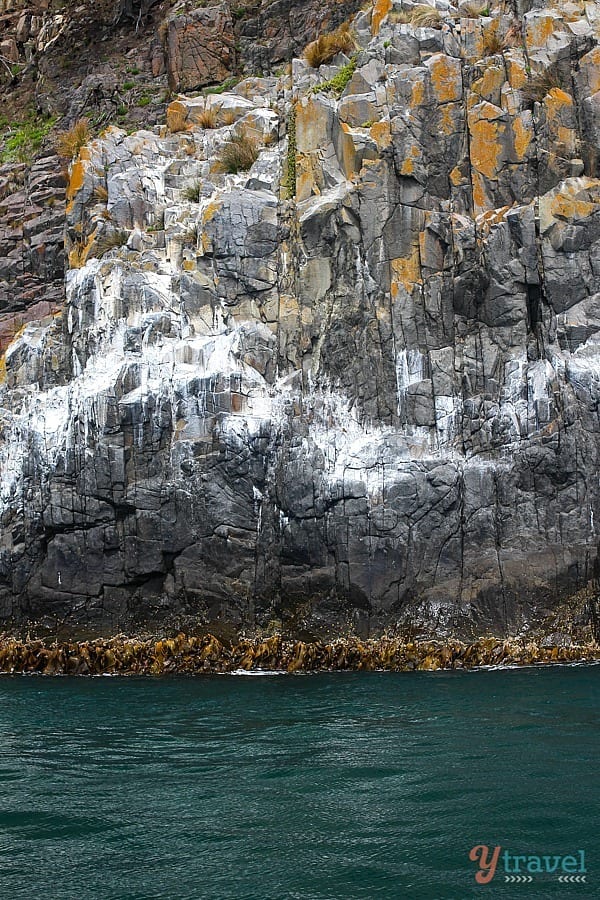 Water next to rock