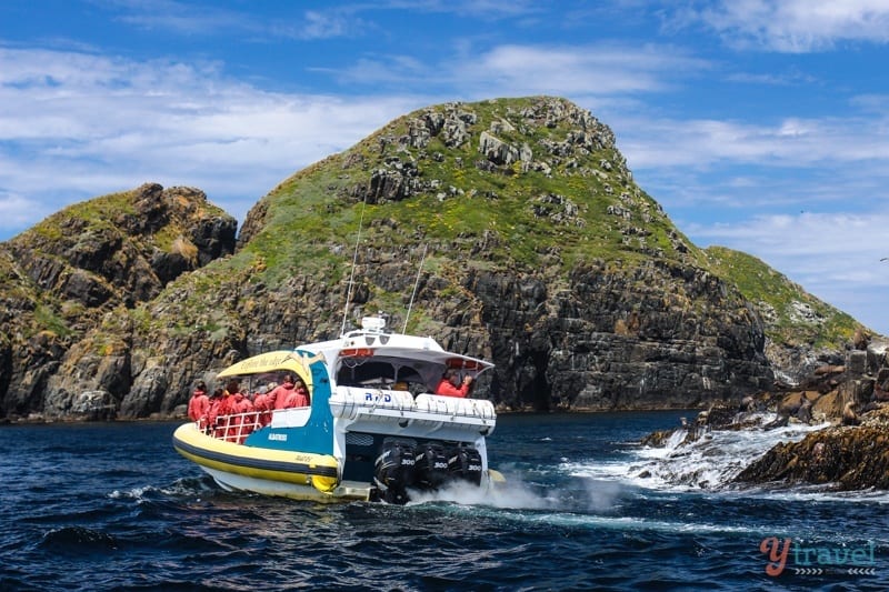 boat cruising past small green islands