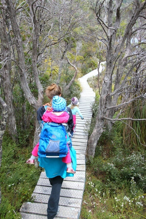 people walking on a boardwalk through trees