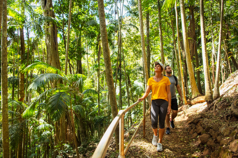 couple walkking on curtis falls track