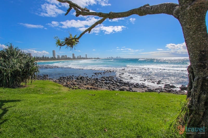 Burleigh Heads skyline framed by tree branch