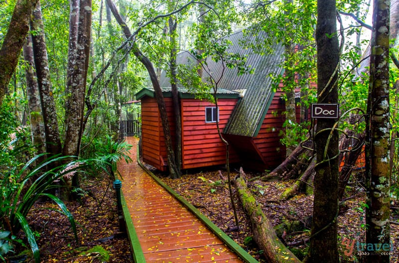 small red cabin in middle of forest Mouses House Rainforest retreat