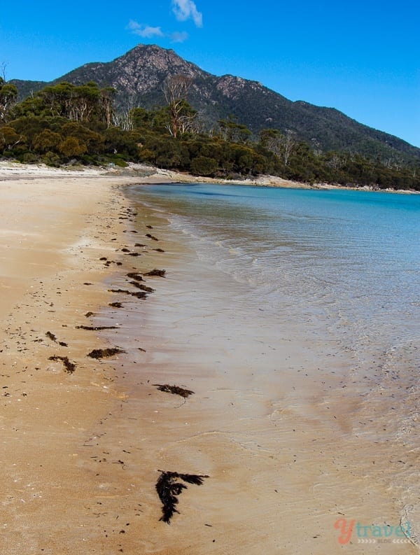 A sandy beach next to the water