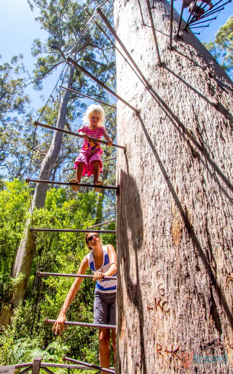 girl climbing on a ladder up a tree