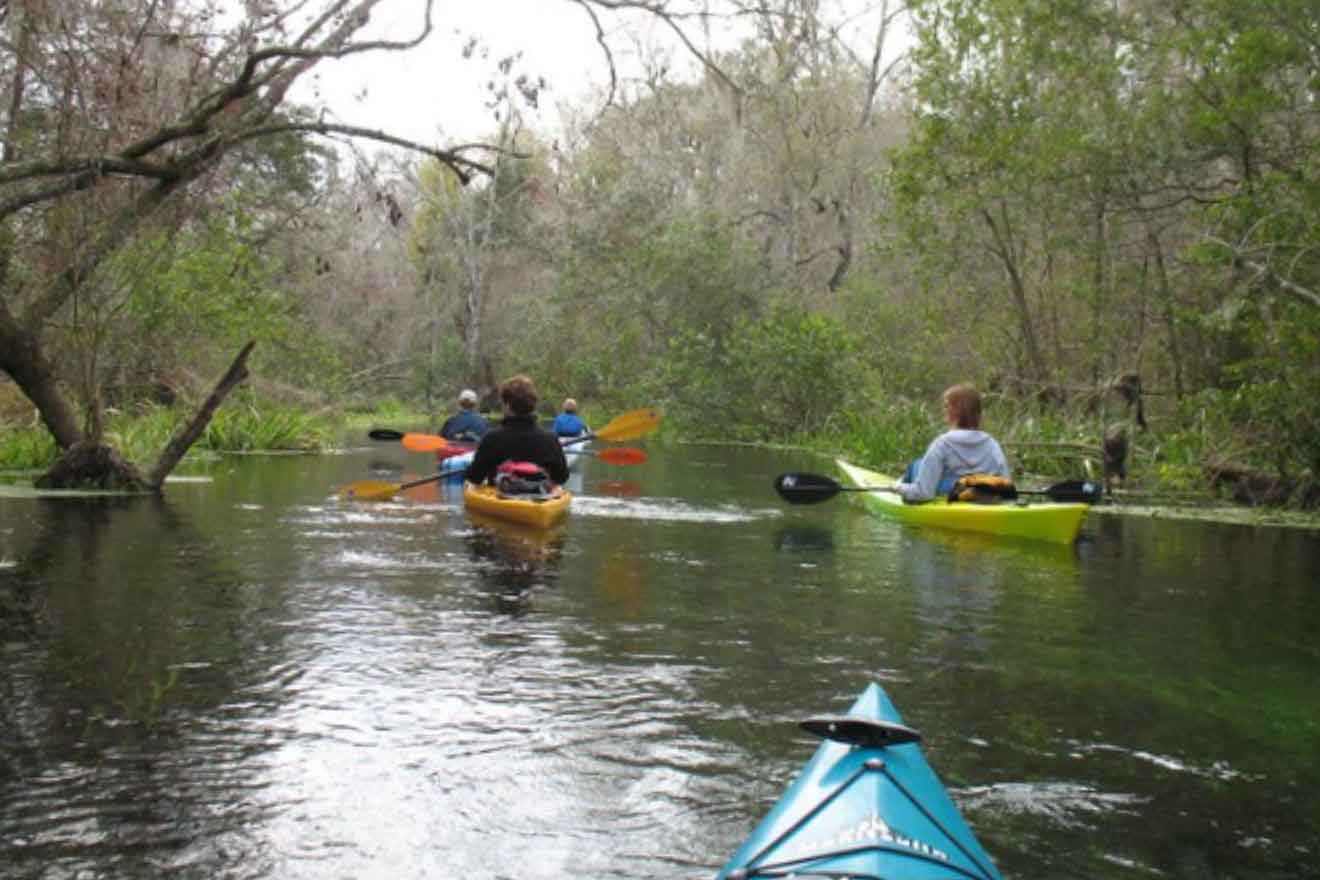 various people canoeing on the river