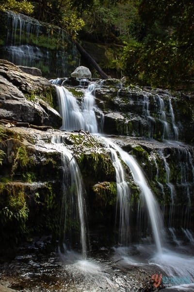 Liffey Falls Tasmania (3)