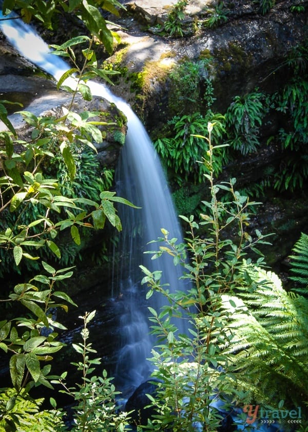 waterfall in jungle